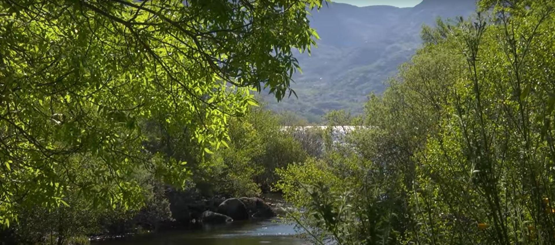 La Posada De Pedrazales エクステリア 写真